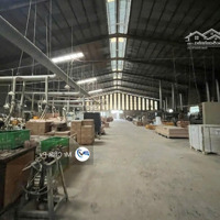 Bán Xưởng Ngay Sân Vận Động Gò Đậu: 10 651M² Đang Cho Thuê 700 Triệu/ Tháng