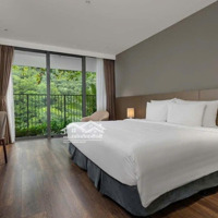 Căn View Biển, Tầng Đẹp, Sổ Đỏ Sẵn, Lợi Nhuận Ngay