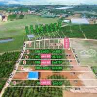 Lâm Hà- Lâm Đồngdiện Tíchhơn 400M2 Sẵn 100M2 Thổ Cư Đường Bêtông Ôtô Tới Đất Sổ Sẵn Chỉ Từ 439 Triệu