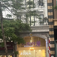 ( Chính Chủ)Tôi Cần Bán Gấp Toà Bulding Mặt Phố Đại Cổ Việt,Diện Tích200 M, 10T , Mặt Tiền 7,5 M,145 Tỷ