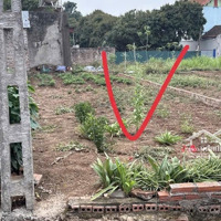 Siêu Phẩm Thắng Trí Ngủ Quên Vừa Mới Thức Giấc