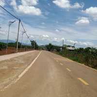 Chiếm Lợi Thế Đầu Sóng Sở Hữu Ngay Đất Đẹp Đức Trọng - Lâm Đồng, Giá F0, Pháp Lý Rõ Ràng!