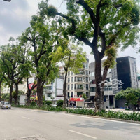 Quá Hiếm - Cách Phố 10M- Dân Xây- Ô Tô Đỗ Cửa-Giòng Tiền - Giá Đầu Tư- Kim Mã