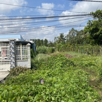 Cần Bán Gấp Lô Đất Ngay Đường Nguyễn Văn Trỗi,Tt Cần Đước,Long An.shr. Giá Bán 760 Triệu