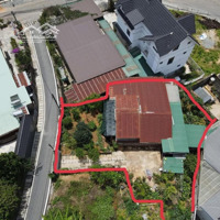 279M2 Thực Tế 458M2 Tô Hiến Thành P3 16 Tỷ