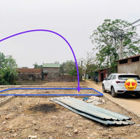 Chính Chủ Cần Bán Ô Đất Động Giã, Đỗ Động, Thanh Oai, Hà Nội