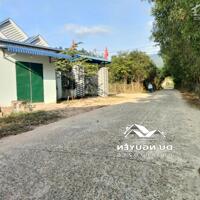 Bán đất Khánh Đông full thổ mặt đường bê tông liên thôn