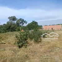 Bán Đất Vườn Hẻm 4M 1/ Đường Bờ Chùa, Phước Hậu Cần Giuộc Long An 500 M2, Chỉ Với 1Tỷ7 Bán Gấp
