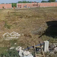 Bán Đất Vườn Hẻm 4M 1/ Đường Bờ Chùa, Phước Hậu Cần Giuộc Long An 500 M2, Chỉ Với 1Tỷ7 Bán Gấp