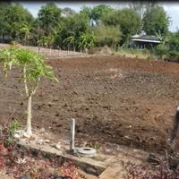 Lô Đất 8X45M Sát Kcn Sonadezi, Đường Thông, 100M² Tc, Giá Chỉ 1.92 Tỷ Đầu Tư Sinh Lời Cao