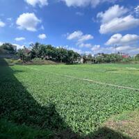 Bán 1 chiếc View xịn xò hơn 2.000m2 trong lòng thành phố.  6 phút tới ngã sáu BMT. 13,9 Tỷ
