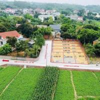 ô đất tại khu 14 xã lam sơn ,tam nông , phú thọ