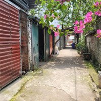 Giảm Chào - Đất Phân Lô, Ô Tô, Khu Tập Thể Trại Giống Lúa. Hiền Giang, Thường Tín, Sát Vành Đai 4