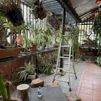 Cần bán gấp siêu phẩm phân lô Trần Quốc Hoàn 55m2, 5T, lô góc 3 mặt thoáng, ô tô tránh