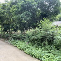 Cần Bán Mảnh Đất 1.100M Tại Tiểu Khu Tầy Măng, Thị Trấn Đà Bắc, Huyện Đà Bắc, Hoà Bình