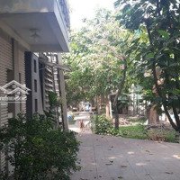 Đất Biệt Thự Vườn Kế Quốc Lộ 13, P. Lái Thiêu, Tp. Thuận An