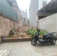 Chính Chủ Nhờ Bán Mảnh Đất Phúc Hậu Dục Tú Đông Anh Hà Nội