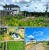 Đất Thổ Cư View Đẹp Ngay Cây Xăng Liên Nghĩa - Lộc Đức