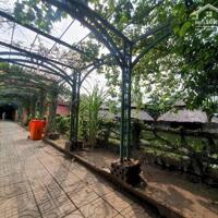 BÁN NHÀ HÀNG THỦ ĐỨC 14.000M2, ĐẸP NHƯ KHU DU LỊCH, DÒNG TIỀN 10 TỶ/TH. GIÁ CHỈ 17 TRIỆU/M2
