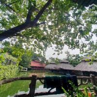 BÁN NHÀ HÀNG THỦ ĐỨC 14.000M2, ĐẸP NHƯ KHU DU LỊCH, DÒNG TIỀN 10 TỶ/TH. GIÁ CHỈ 17 TRIỆU/M2