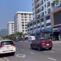 Bán Căn Shophouse Ct2 - Vcn Phước Hải 164M2 Ngang 6M, Thích Hợp Kinh Doanh