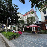 Đất Mặt Phố Phan Kế Bính 185M2 Lô Góc Thoáng 3 Mặt 55 Tỷ