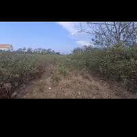 Cần Bán Mảnh Vườn 2400M2 Khu Thị Trấn Cần Thạnh Cần Giờ