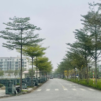 Chốt Ngay Lô Liền Kề Siêu Đẹp - Vườn Hồng Nam Hồng Từ Sơn Garden City. Làn 2 Tl277 Giá Hời