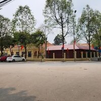 Bán đất tặng nhà C4 65m thôn Vệ Nam Hồng. Ô tô 7 chỗ vào thoải mái