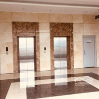 Cho Thuê 20,30,50M2 Văn Phòng Sàn Tmai Tầng 2 Ct2A Gelexia 727 - 885 Tam Trinh