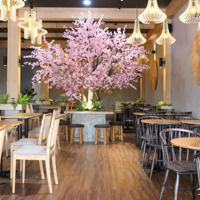 Cho Thuê Mặt Bằng Riêng Biệt Mặt Phố Phương Mai, Gần Bv Bạch Mai, 42M,Mặt Tiền3.8M, Kd Mọi Mô Hình