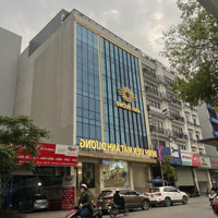 Cực Hiếm! Bán Nhà Phố Nguyễn Quốc Trị, Cầu Giấy, 120M2, Vị Trí Kim Cương