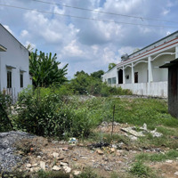 Bán Đất Tại Nguyễn An Ninh, Cần Giuộc, Long An, 730 Triệu, 100M2