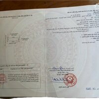 Chính chủ gửi bán lô đất hoa khôi trục trải nhựa Hoa Động ( giá đầu tư )