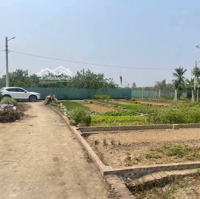 51.6M2 Xuân Nộn, Đông Anh. Đường 3.5M Ngõ Thông. Giá Đầu Tư