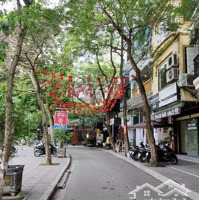 Hiếm ! Nhà Phân Lô Vũ Phạm Hàmdiện Tích95M² X 5 Tầng,Mặt Tiền6 Mét, Đường 2 Ô Tô Tránh, Đỗ Vùng Quanh. 36 Triệu