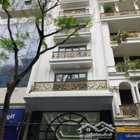 Cho Thuê Nhà Lạc Long Quân - Tây Hồ, 85M X 7 Tầng,Mặt Tiền8M, Thông Sàn, Thang Máy, Ngõ Tô Tải, 40 Triệu
