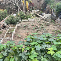 Không Có Lô Nào Rẻ Và Đẹp Hơn Lô Này Ở Thị Trấn Đông Anh. 40M2 Mặt Tiền 5M Mà Giá Có 2Tỷ200 Triệu
