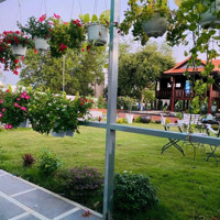 Cần Bán Nhà Vườn Rộng 1.239M2. Đường Nhựa P12 Tp Vũng Tàu