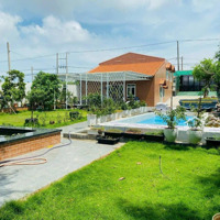 Cần Bán Nhà Vườn Rộng 1.239M2. Đường Nhựa P12 Tp Vũng Tàu