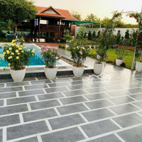 Cần Bán Nhà Vườn Rộng 1.239M2. Đường Nhựa P12 Tp Vũng Tàu