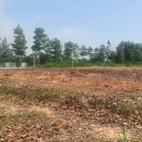 Bán Đất Quốc Lộ 13, 10 Triệu/M2, Hơn 3000M2, Chính Chủ, Bến Cát, Bình Dương