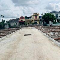 Bán đất tại Quỳnh Hoàng, Nam Sơn, An Dương, Hải Phòng giá chỉ 1,39 tỷ
