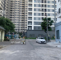 Bán Gấp Lô Đất 247M2 Đông Nam Giáp Shophouse Hải Phát Khu 31Ha Trâu Quỳ, Gia Lâm
