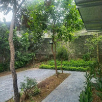 Hàng Cực Vip, Sẵn Khuôn Viên Nghỉ Dưỡng Cực Chill, Tại Phú Mãn