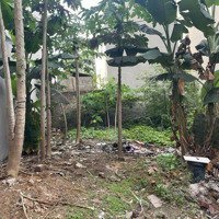 Bán Đất Thổ Cư Kim Hồ, Lệ Chi, Gia Lâm- Cạnh Trường Đại Học Dệt May Hà Nội, Giá Tốt Chỉ 43 Triệu/M²