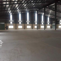 Cho Thuê Kho Xưởng Khu Công Nghiệp Đức Hòa. Huyện Đức Hòa. Tỉnh Long An