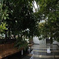 Nhà Siêu Đẹp, Thoáng 240M2 Chính Chủ Cho Thuê, Giá 25 Triệuieu/T, Cố Định Giá 3-5 Năm, Kế Mọi Tiện Ích