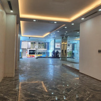 Cho Thuê Cửa Hàng Tại Bà Triệu, 88 Triệu, 130 M2, Giá Siêu Hời