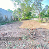 Bán 336M2 Tại Xã Hoàng Diệu, Giá Vài Triệu/M, Ngõ Oto Vào Tận Đất Có 300M Thổ Cư